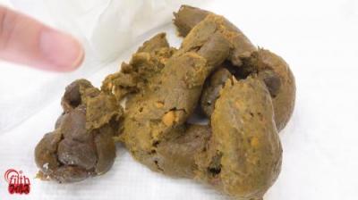 これが私のうんち説明書