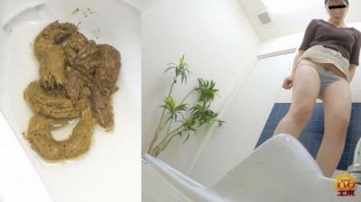 本屋で見た大便隠撮 不意に巻き起こる便意現象