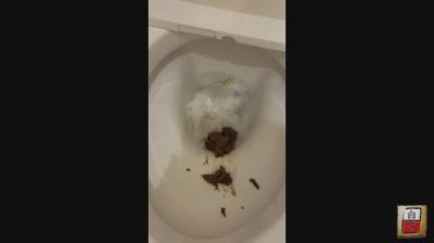 私と食とうんこ2